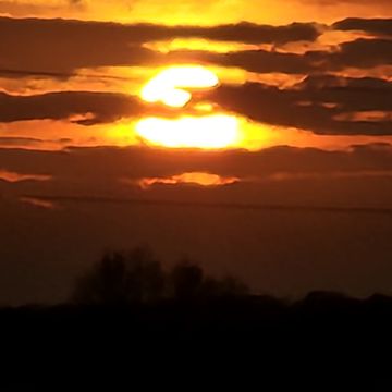 wont die tonight by wantedxxdemon | BandLab