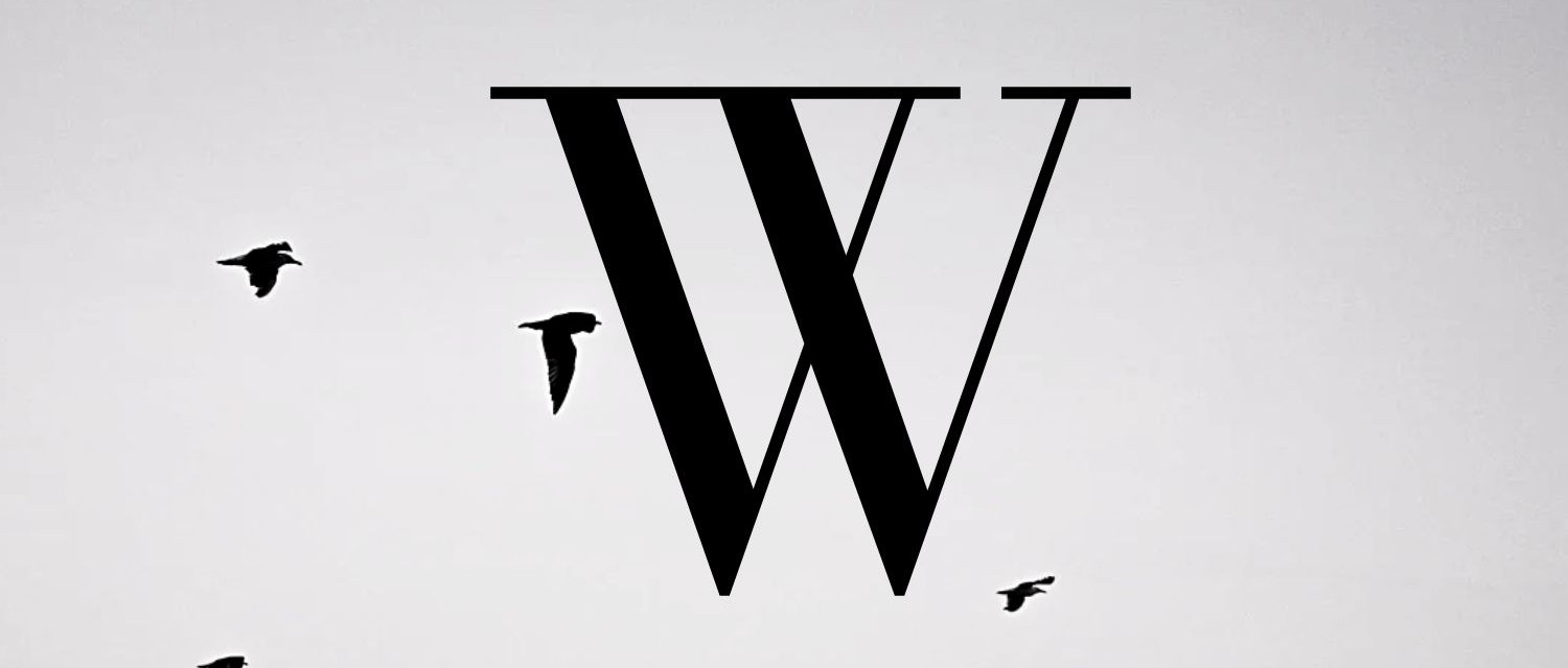 BandLab banner for @welts