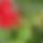 BandLab banner for @jafarnia