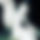 BandLab banner for @spreading