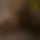 BandLab banner for @stepmother