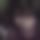 BandLab banner for @tanjujnat