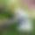 BandLab banner for @huutuan