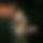 BandLab banner for @mikealves