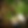 BandLab banner for @pros