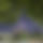BandLab banner for @alterations