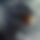 BandLab banner for @elnoob
