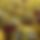 BandLab banner for @usman123