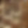 BandLab banner for @laryngitis