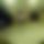 BandLab banner for @expelling