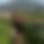 BandLab banner for @novafs