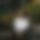 BandLab banner for @mope