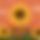 BandLab banner for @oakdaisy