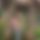 BandLab banner for @navinhen