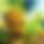 BandLab banner for @grooty