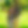 BandLab banner for @generally