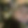 BandLab banner for @concussions