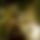 BandLab banner for @grief