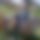 BandLab banner for @malaga