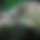 BandLab banner for @badder