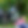 BandLab banner for @swell