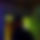 BandLab banner for @accumulate