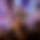 BandLab banner for @jasasaban