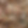 BandLab banner for @vatf