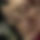 BandLab banner for @ampicillin