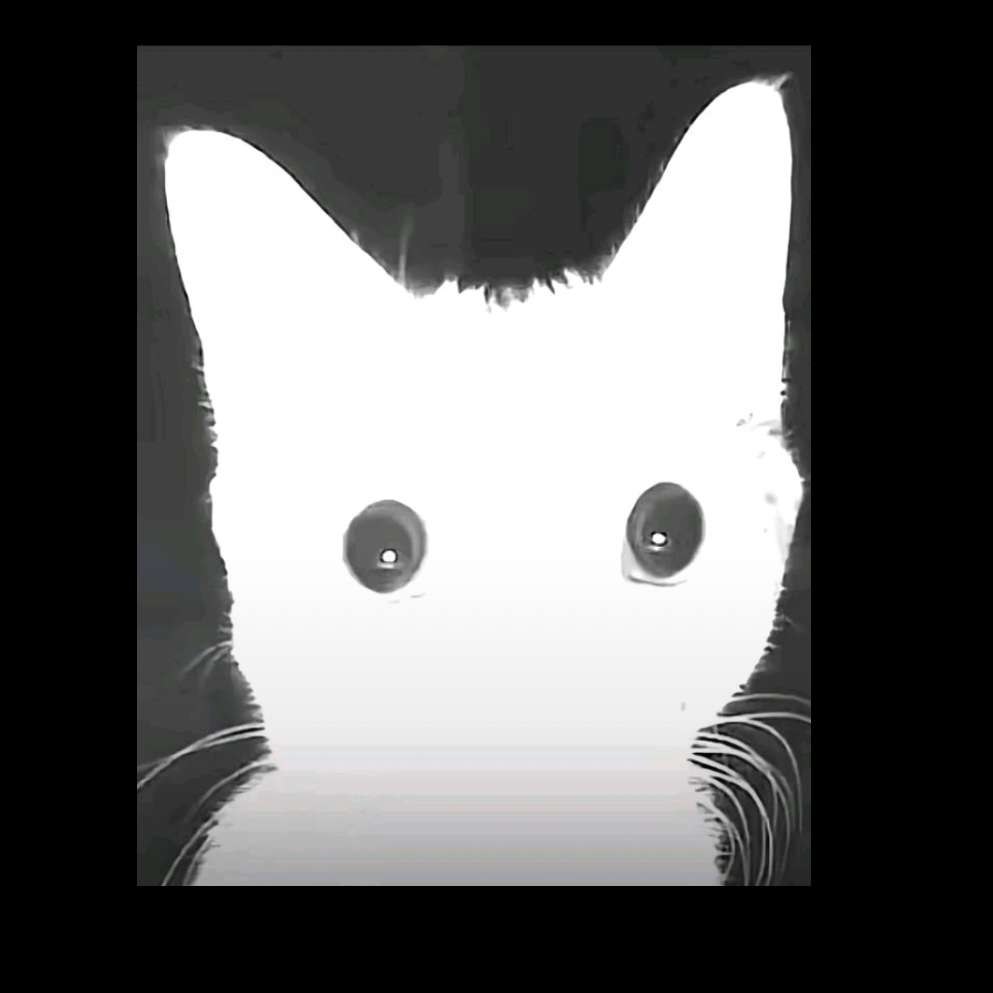 BandLab profile picture for @chickening