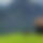 BandLab banner for @handwriting