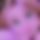 BandLab banner for @ninaxx