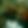 BandLab banner for @epstein