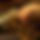 BandLab banner for @interplanetary