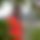 BandLab banner for @praveen