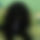 BandLab banner for @errak