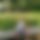 BandLab banner for @sampale