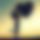 BandLab banner for @mummy