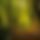 BandLab banner for @giam
