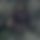 BandLab banner for @sharigan