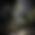 BandLab banner for @branched