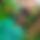 BandLab banner for @rashed