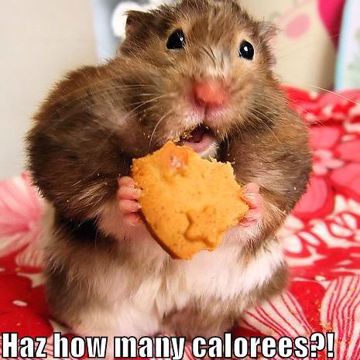 Lilliana Flores (@lillianaflores) • BandLab - Make Music Online