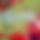 BandLab banner for @scxrlord