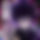 BandLab banner for @m_noob