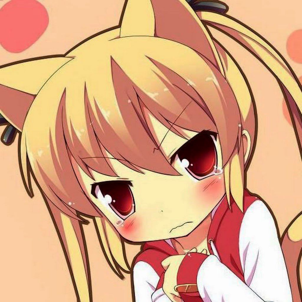 BandLab profile picture for @maro