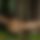 BandLab banner for @tiggeri