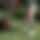 BandLab banner for @treaties