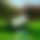 BandLab banner for @watchers