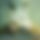 BandLab banner for @snails